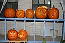 IMG_0973